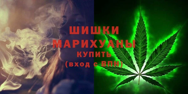 ешки Бородино