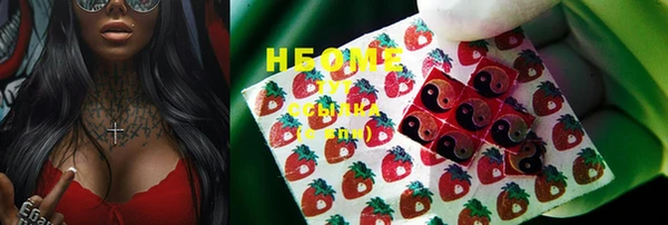ешки Бородино