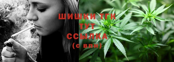 ешки Бородино