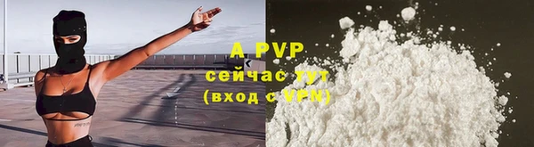 ешки Бородино