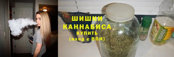 ешки Бородино