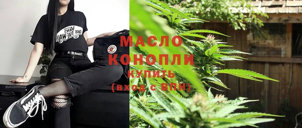 ешки Бородино