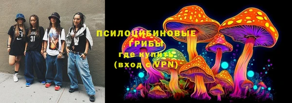 ешки Бородино