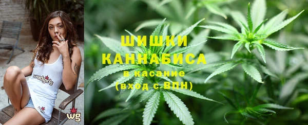 ешки Бородино