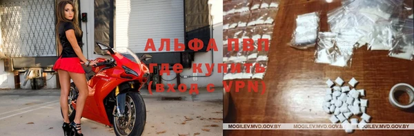 ешки Бородино