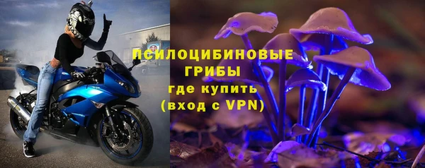 ешки Бородино