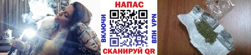 Бошки Шишки план  купить   Княгинино 